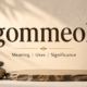 gommeok Explained: Meaning, Uses, and Significance
