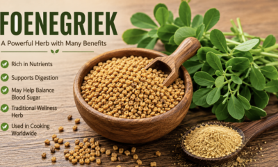 foenegriek: Complete Guide to Uses, Benefits, and Growth