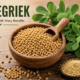 foenegriek: Complete Guide to Uses, Benefits, and Growth