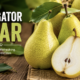 Navigator Pear: Complete Guide to Features, Benefits, and Uses