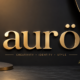 aurö and Modern Identity: Creativity, Branding, and Style Culture